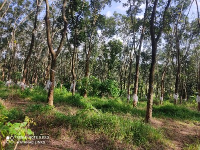Land for Sale in Nadavayal, Wayanad