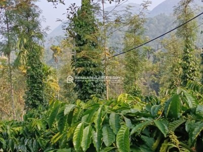 Scenic Land for Sale in Nellarachal, Ambalavayal, Wayanad