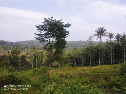 Premium Land for Sale in Dasanakkara, Mananthavady, Wayanad 