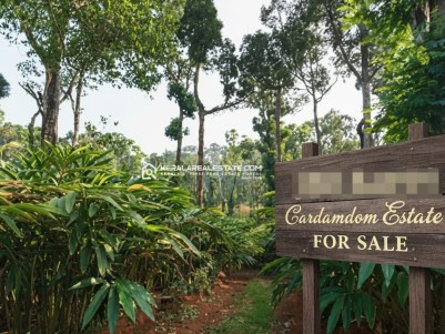 317 Acres Cardamom Estate for Sale in Wayanad 