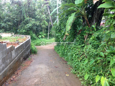 Prime Plot for Sale in Puthuppally, Kottayam 
