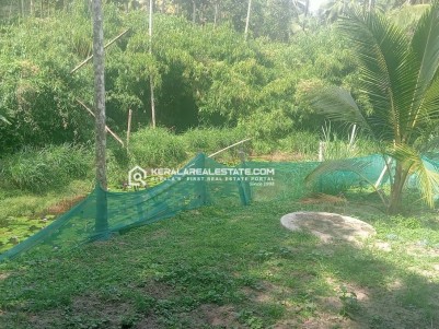 2 BHK House in 40 Cents for Sale in Thrikaipatta, Wayanad 