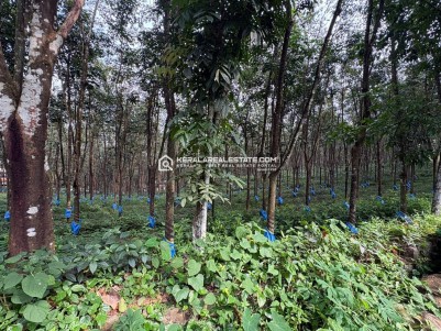 Rubber Plantation for Sale in Kanjirappally, Kottayam 