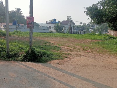 Land for Sale in Kalpetta, Wayanad 