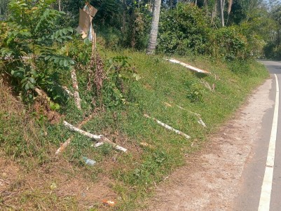 Prime Land for Sale in Meenangadi, Wayanad 