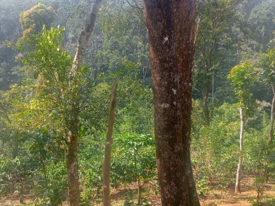 Scenic Hilltop Land for Sale in Vythiri, Wayanad