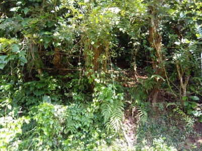 Land for Sale in Vythiri, Wayanad