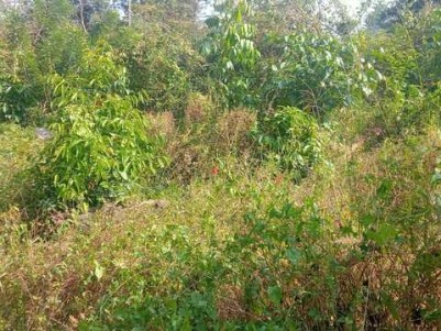 Premium Villa Plot for Sale in Muttil, Wayanad 