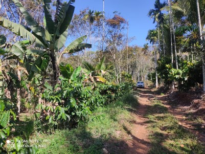 Land for Sale in Kenichira, Wayanad 