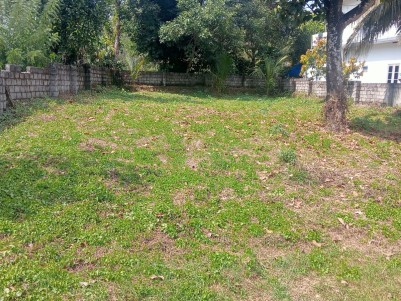 Residential Plot for Sale in Muttil, Wayanad 