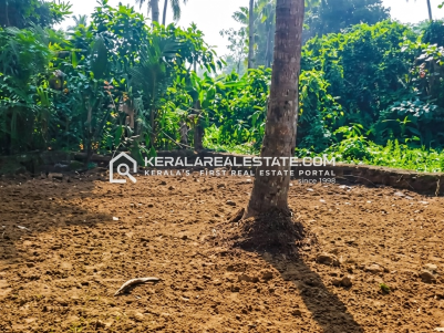 Prime Land for Sale in Aymanam, Kottayam 