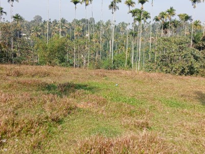 Land for Sale in Meenangadi, Wayanad 