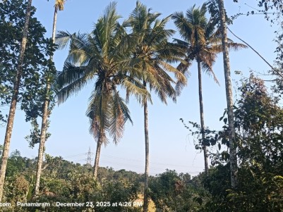 Paddy Land with River Frontage for Sale in Panamaram, Wayanad 