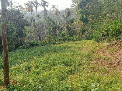 Coffee Plantation for Sale in Meppadi, Wayanad 