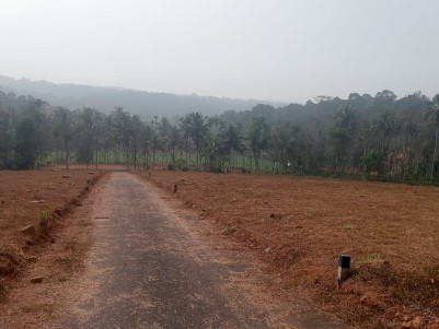  Land for Sale in Meenangadi, Wayanad 