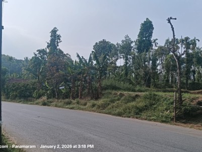 Highway Facing Property for Sale in Panamaram, Wayanad 