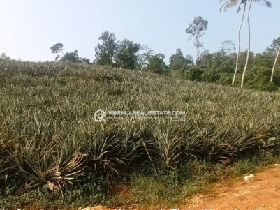 Land for Sale in Maneed, Ernakulam 