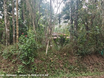 Land with House for Sale in Nelliyambam, Nadavayal, Wayanad