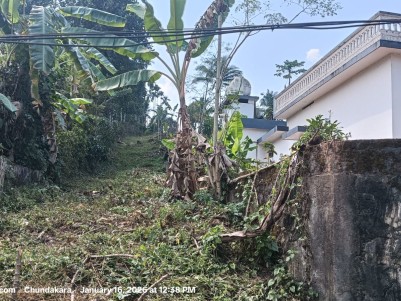 50 Cents Land with House for Sale in Kambalakkad, Wayanad