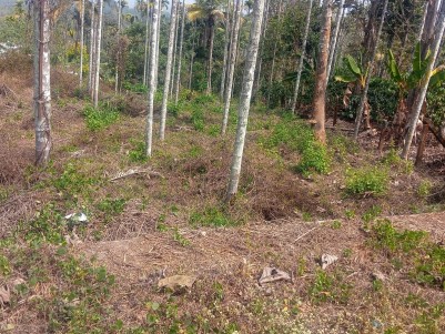 Premium East-Facing Plot for Sale on State Highway, Meenangadi, Wayanad 