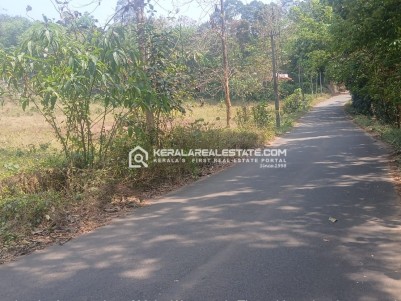 LAND FOR SALE IN KUNNAKKAL, NEAR NELLAD, MUVATTUPUZHA, ERNAKULAM