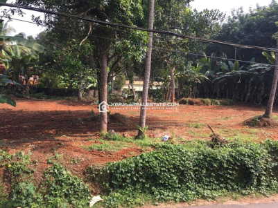 Residential Plot for Sale in Thumpamon Pathanamthitta 