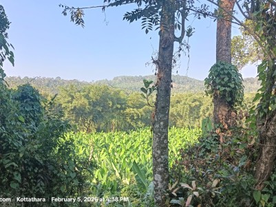  Land with an Old House for Sale in Vellamunda, Wayanad 