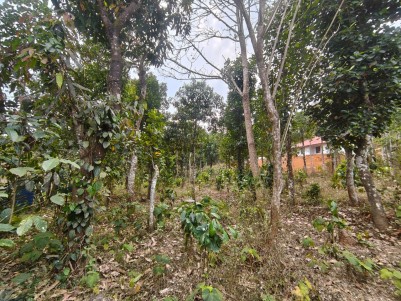 Land for Sale in Thrissilery, Aanappara, Wayanad 