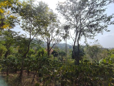  Villa/ Homestay / Resort / Farmhouse Land for Sale in Kattikulam, Wayanad