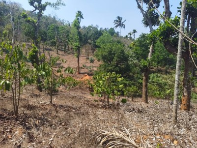 Scenic Land for Sale in Kattikulam, Wayanad