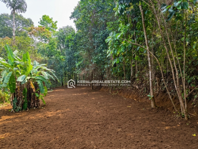 Highway Frontage Land for Sale in Chirakkadavu, Ponkunnam- Manimala Road, Kottayam 