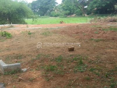 Prime Plot for Sale in Ollur, Thrissur
