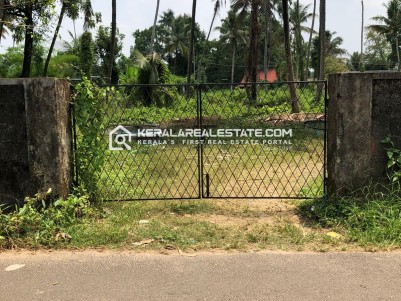 Prime Land for Sale in Panangad, Ernakulam 
