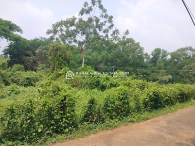Land for Sale Near UC College, Aluva, Ernakulam 