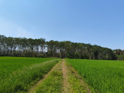 1.5 Acre Premium Plot for Sale in Marakadavu, Pulpally, Wayanad