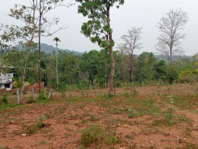 Land for Sale in Meenangadi, Wayanad 
