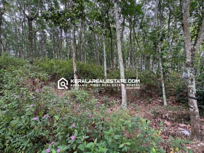 PRIME LAND FOR SALE NEAR PANDALAM, PATHANAMTHITTA
