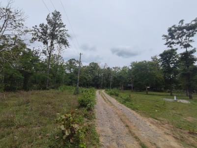 Prime Scenic Land for Sale in Mavilamthodu, Pulpally, Wayanad 