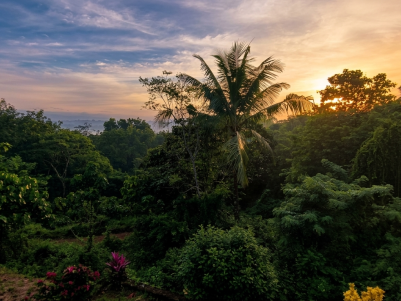 Farm Plots for Sale in Vazhoor, Kodungoor, Kottayam 