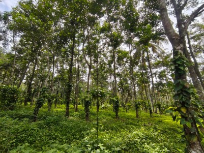 Premium Land for Sale in Pulpally, Wayanad
