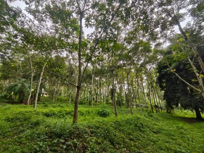 Premium Villa / Homestay / Resort Land for Sale in Amarakuni, Pulpally, Wayanad 