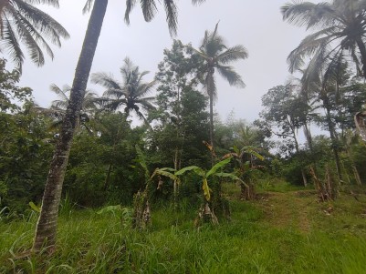 Premium Resort Land for Sale in Pulpally, Wayanad