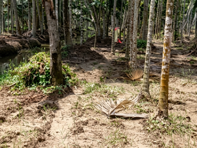 Land for Sale Near Aster Medicity, Ernakulam 