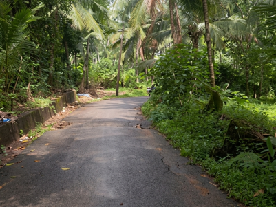 Prime Residential Land for Sale in Pullurampara, Kozhikode