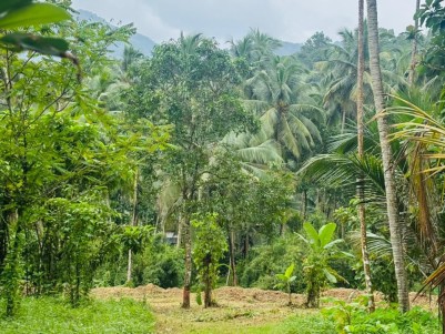 Prime Residential Land for Sale in Pullurampara, Kozhikode