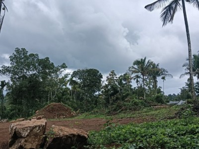 36 Cents of House Plot for Sale in Varadoor, Wayanad 