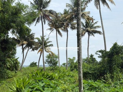 1.23 ACRE BACKWATER SIDE LAND FOR SALE IN KUMARAKOM, KOTTAYAM