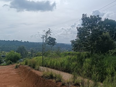 Residential Land for Sale in Panamaram, Wayanad 