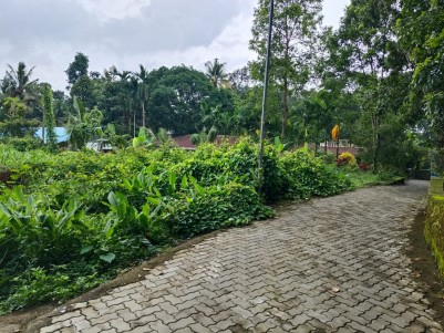  PRIME RESIDENTIAL LAND FOR SALE IN KIZHAKKAMBALAM, ERNAKULAM