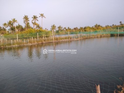 LAKEFRONT PROPERTY WITH FARM HOUSE FOR SALE IN CHELLANAM, ERNAKULAM